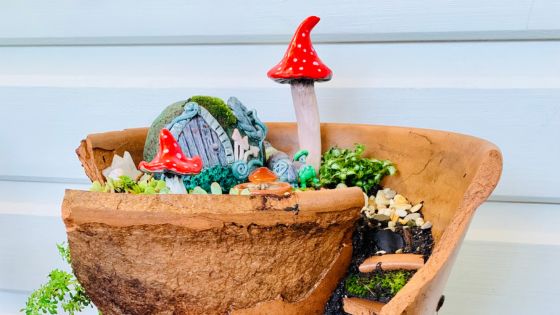A miniature fairy garden inside a plant pot with a fairy door, ceramic toadstools, and lots of moss.
