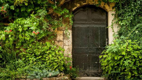 Image shows a closed garden door in a wall surrounded by vine plants.
