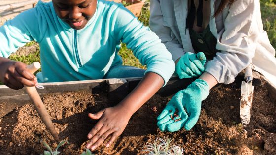Image shows a boy gaining support from a grown up to plant some seeds into a raised bed.