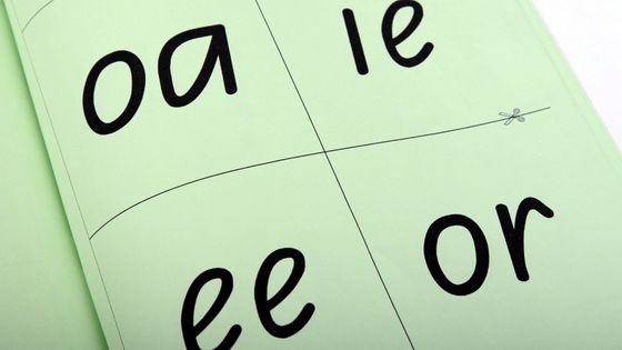 A picture of an open book that has the sections of the page to be cut out. It is sectioned with phonetic sounds "oa", "ie", "ee", and "or".