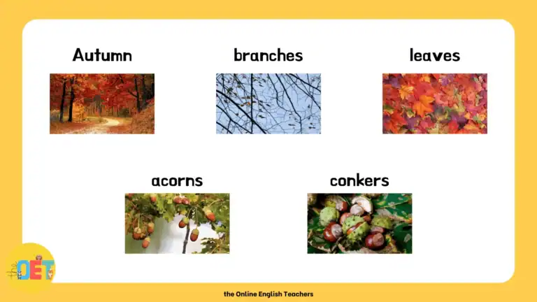 image shows 5 small photos each with the vocabulary word above them. Starting from top left to bottom right: Autumn, branches, leaves, acorns, conkers.