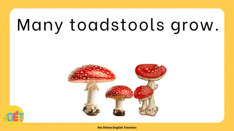 Image shows an autumn vocabulary sentence "many toadstools grow." and an illustration of four toadstools underneath.