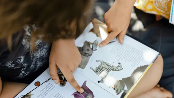 Children are pointing to pictures in their story. The pictures are of animals e.g. elephant, zebra, walrus.