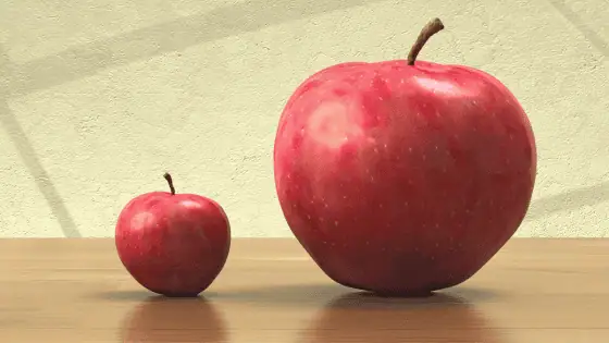 a big and small red apple side by side